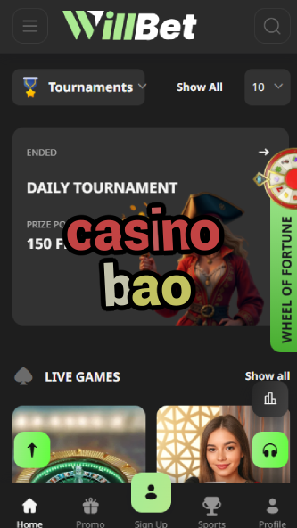 Casino BAO - Best Asian-Themed Casino Games-4x4casino.ydblkf.net