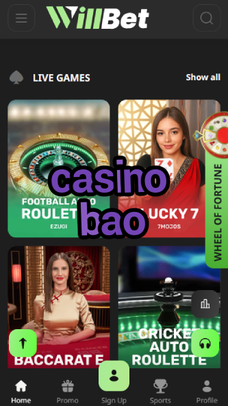 Casino BAO - Best Asian-Themed Casino Games-4x4casino.ydblkf.net